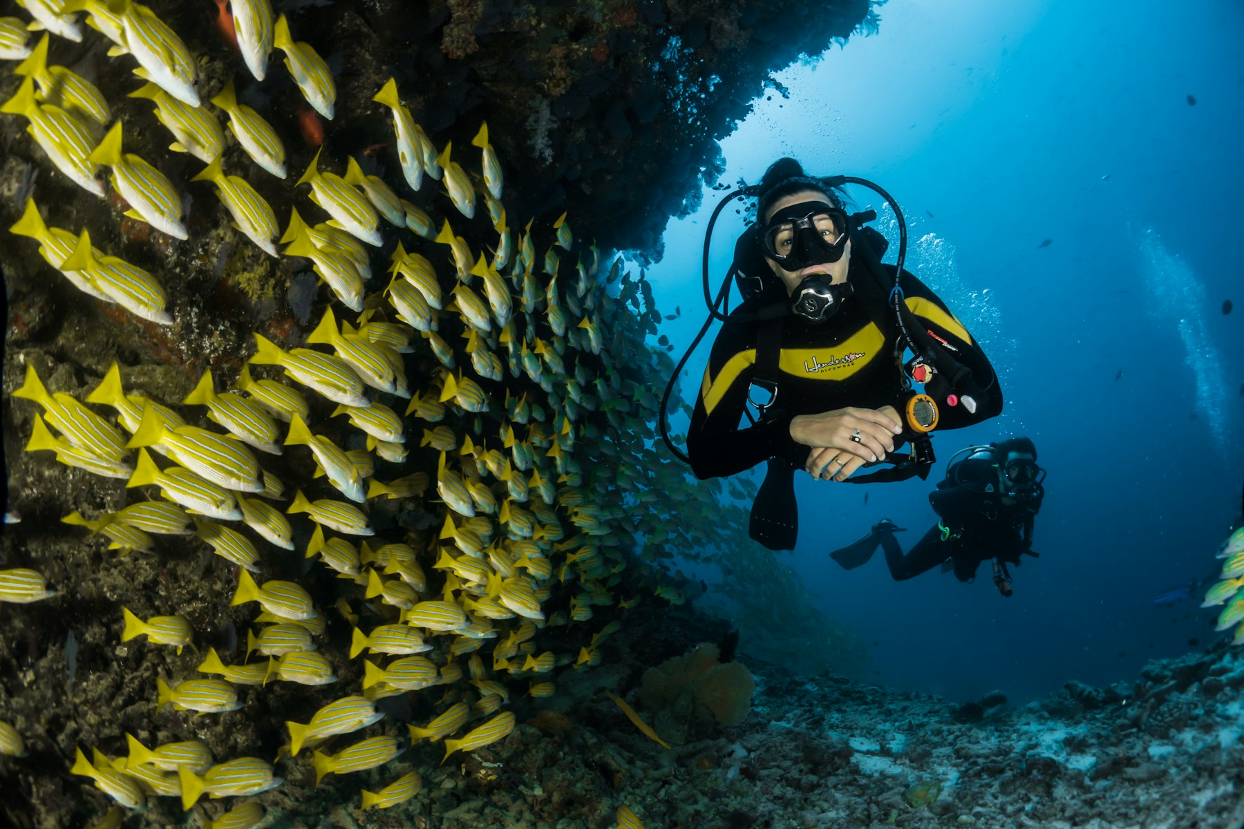 Scuba diver beside a reef wall